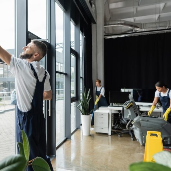 commercial window cleaning service