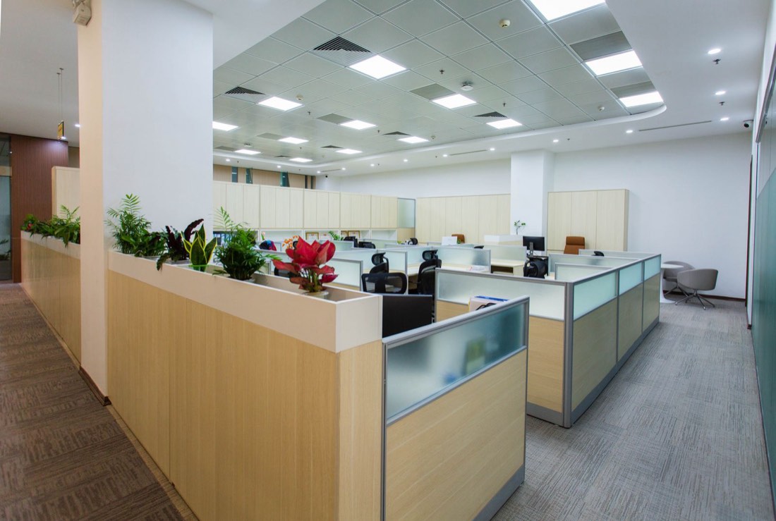 Bright, tidy open-plan office with cubicle workstations and plants
